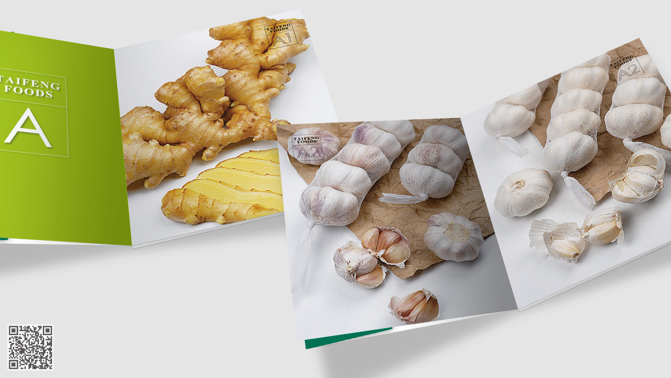 泰豐食品畫冊設計