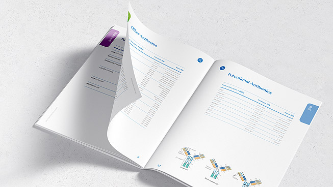 宣傳冊設計排版的技巧分享