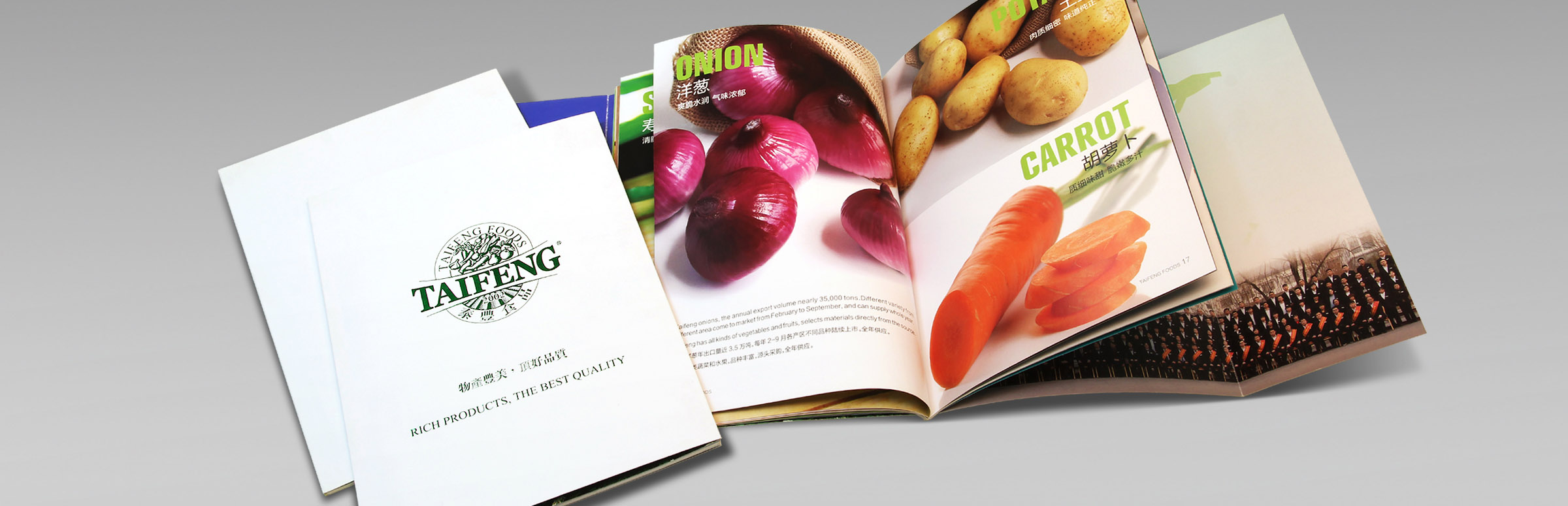 畫冊設計在企業(yè)宣傳中的價值