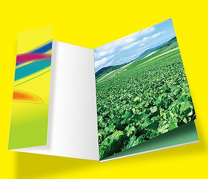 企業(yè)畫冊設(shè)計(jì)一頁多少錢？